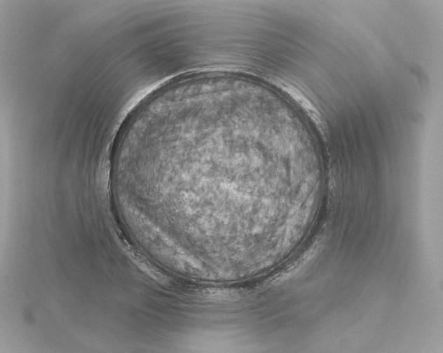 X0000115450933200911251304