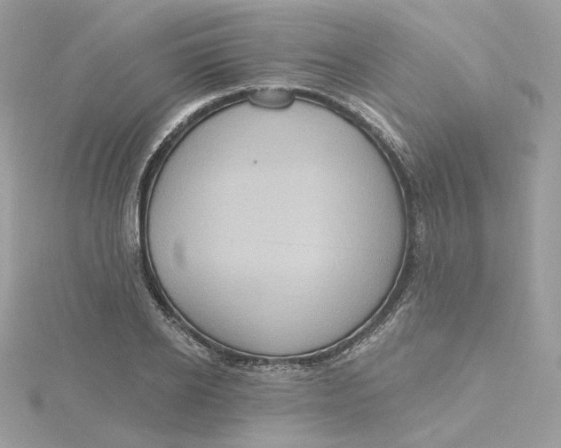 X0000115450934200911251304