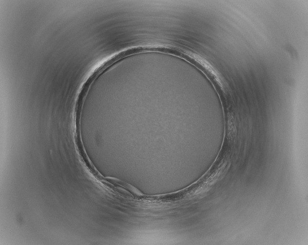 X0000115450935200911251304