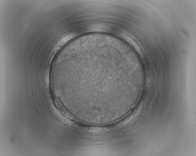 X0000115450938200911251304