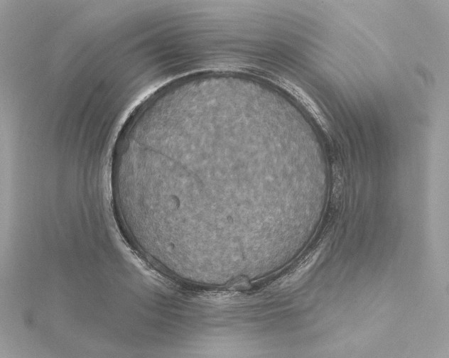 X0000115450939200911251304