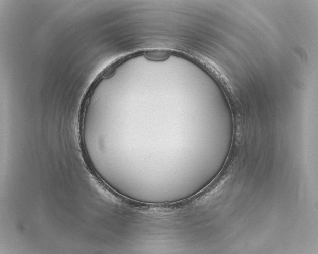 X0000115450942200911251304