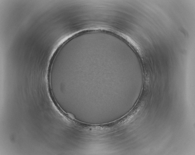 X0000115450943200911251304