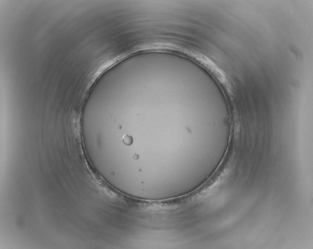 X0000115450945200911251304