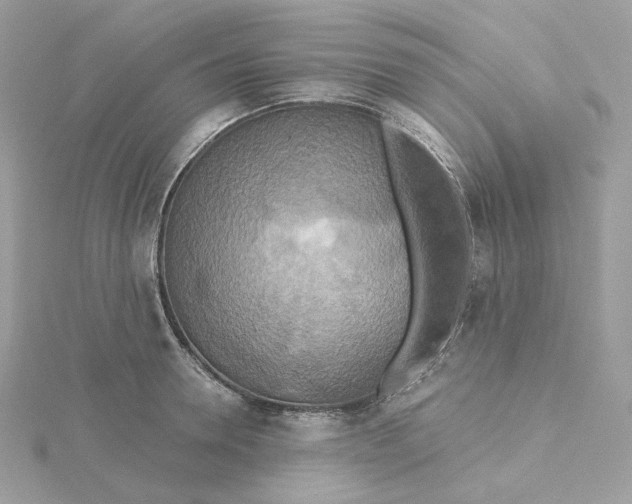 X0000115450946200911251304