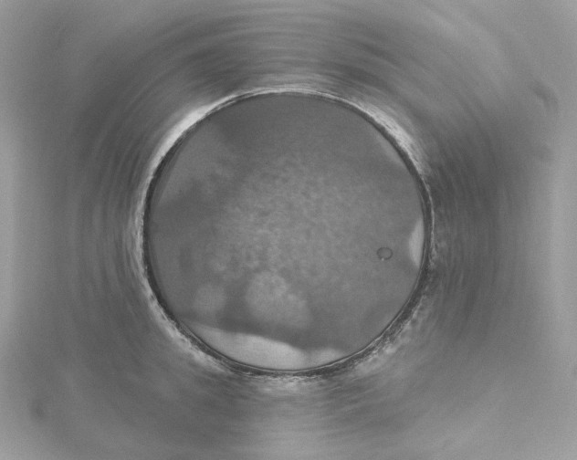 X0000115450949200911251304