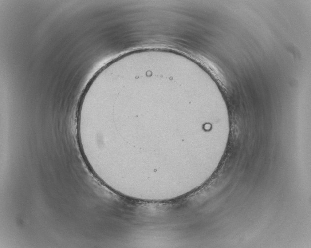 X0000115450950200911251304