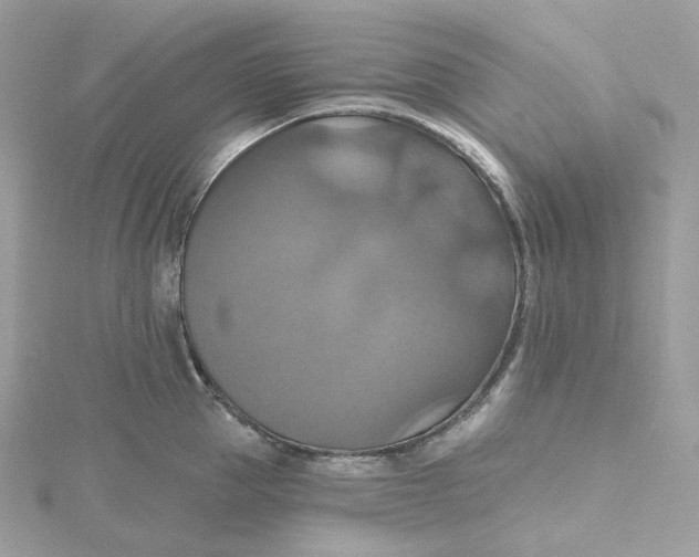 X0000115450953200911251304