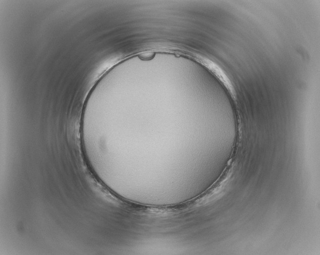 X0000115450954200911251304