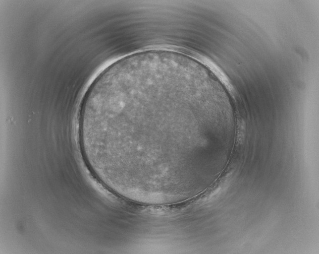 X0000115450955200911251304