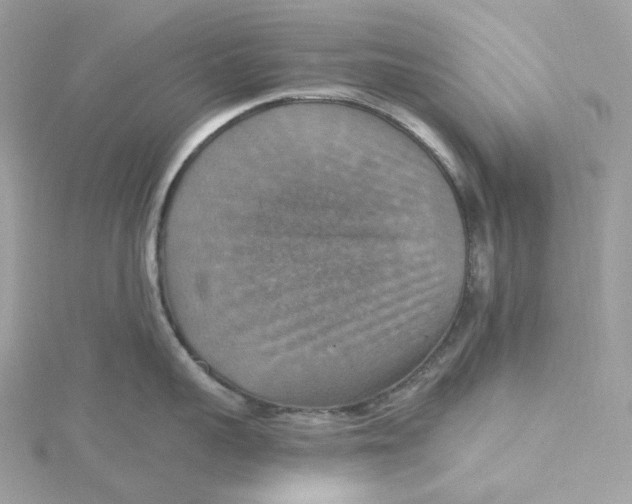 X0000115450959200911251304