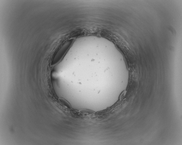 X0000115450961200911251303