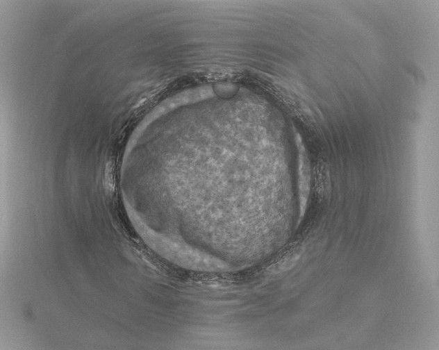 X0000115450962200911251303