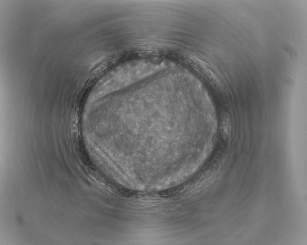 X0000115450964200911251303