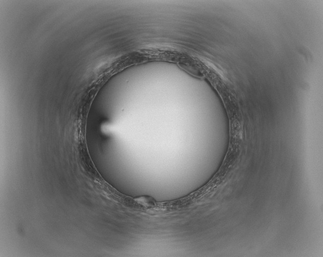 X0000115450965200911251303