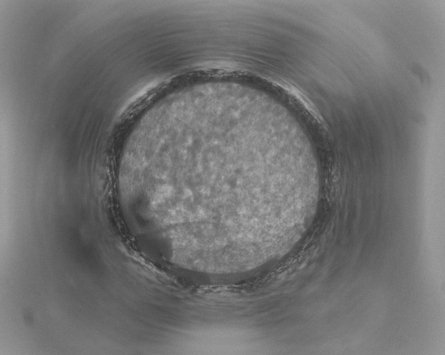 X0000115450967200911251303