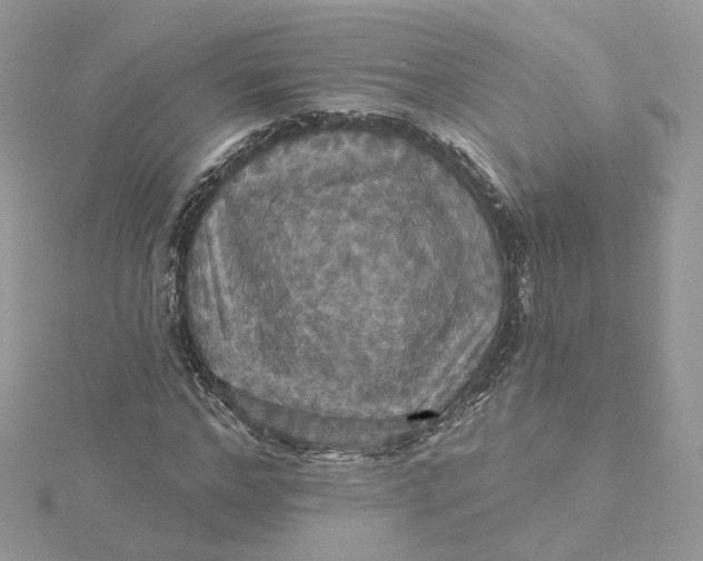 X0000115450968200911251303