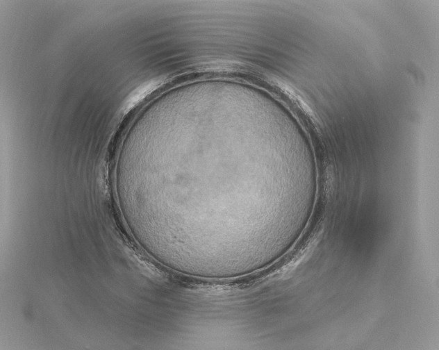 X0000115450970200911251303