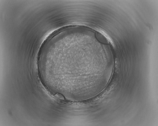 X0000115450972200911251303