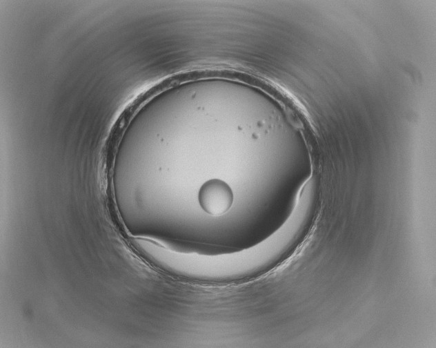 X0000115450973200911251303