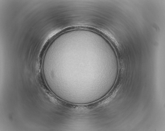 X0000115450974200911251303