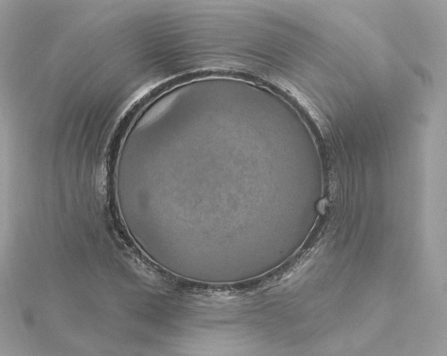 X0000115450975200911251303