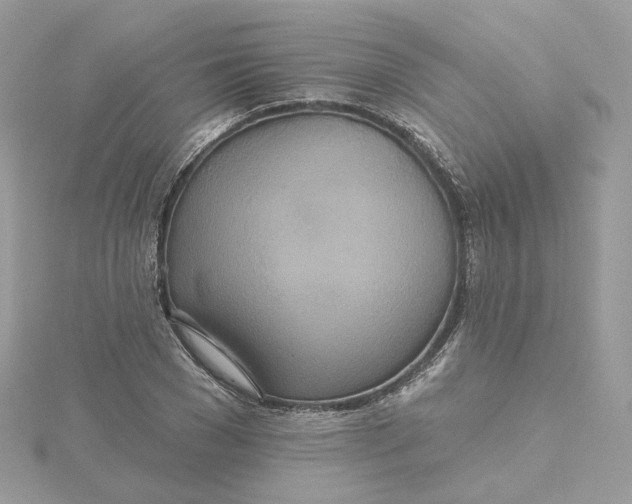 X0000115450977200911251303