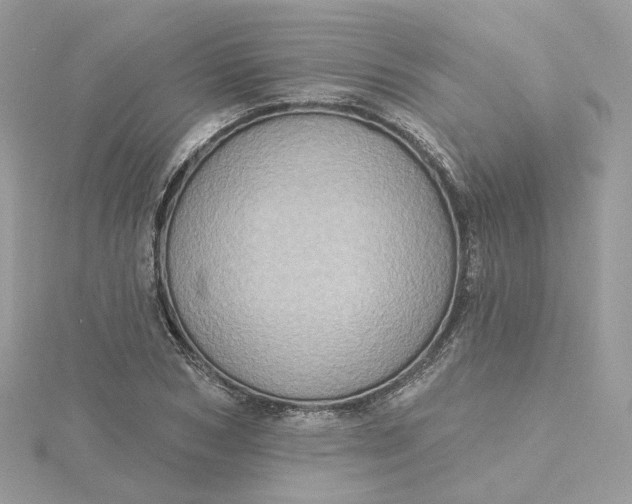 X0000115450978200911251303