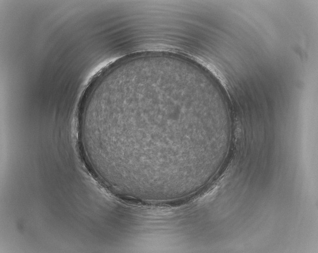 X0000115450979200911251303