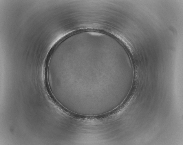 X0000115450983200911251303