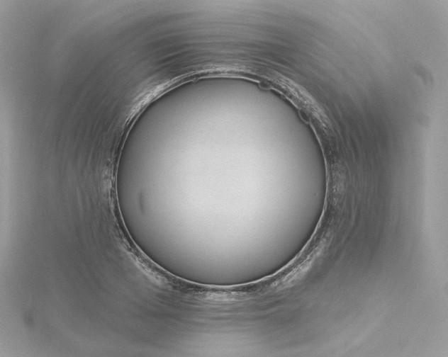 X0000115450985200911251303