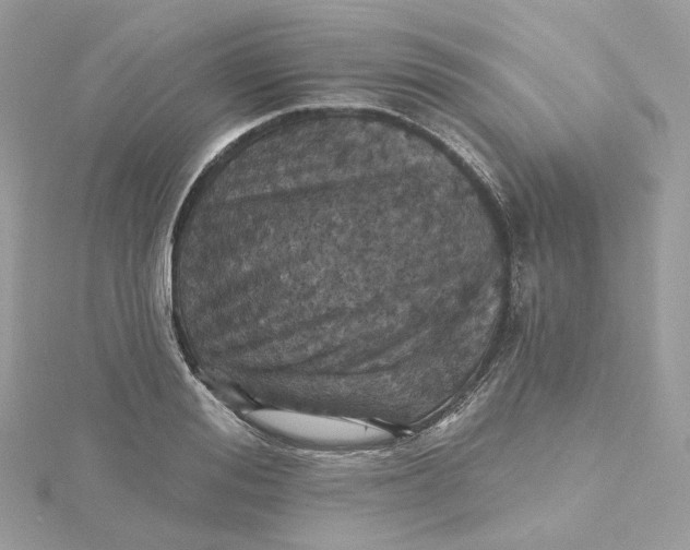 X0000115450988200911251303