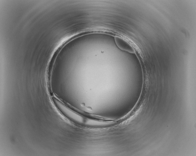 X0000115450989200911251303