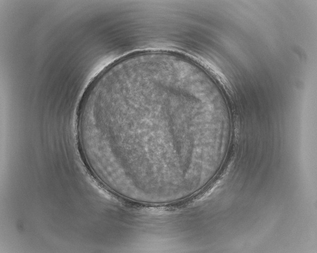 X0000115450990200911251303