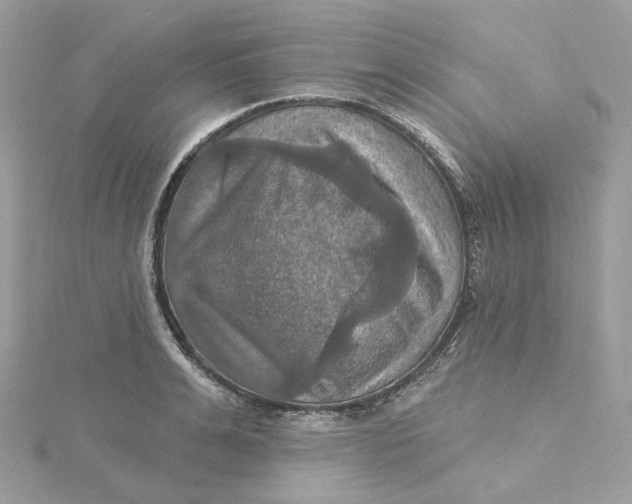 X0000115450991200911251303