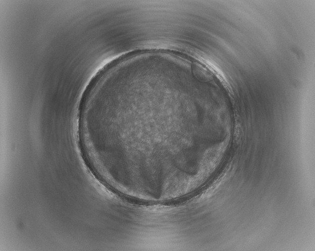 X0000115450992200911251303