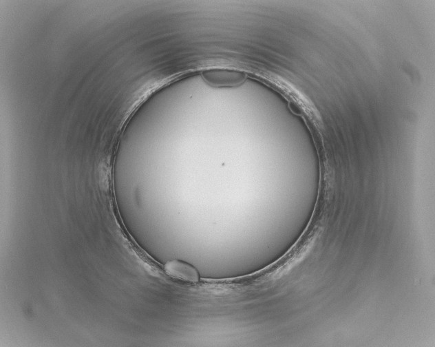 X0000115450993200911251303