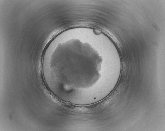 X0000115450994200911251303