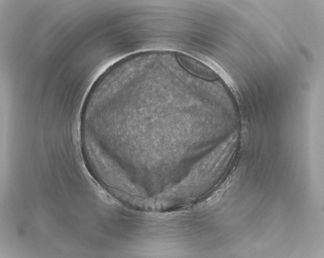 X0000115450996200911251303