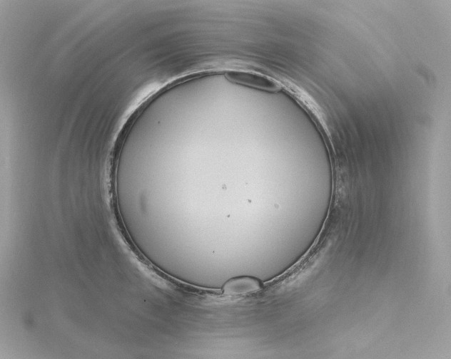 X0000115450997200911251303