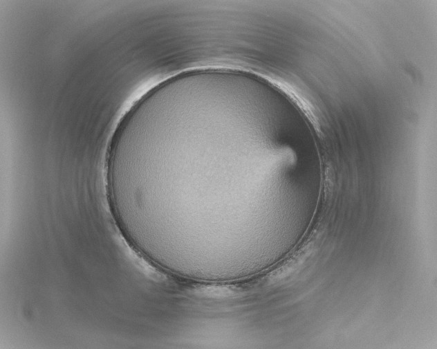 X0000115450998200911251303