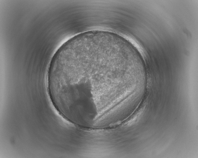 X0000115450999200911251303