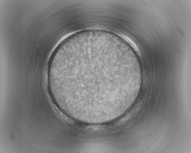 X0000115451000200911251303