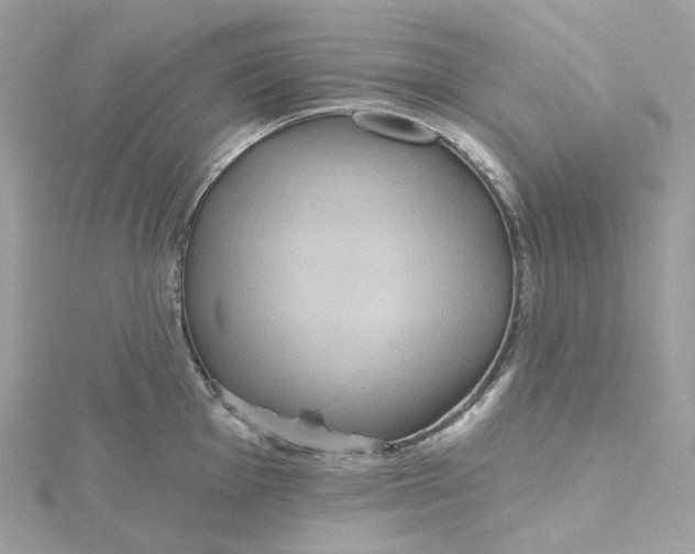 X0000115451001200911251303