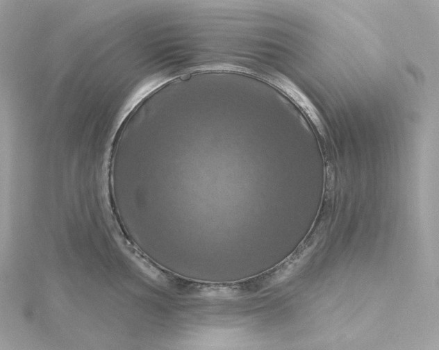 X0000115451002200911251303