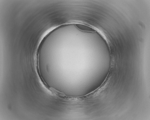 X0000115451003200911251303