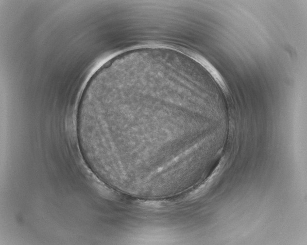 X0000115451004200911251303