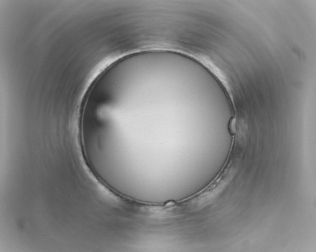 X0000115451005200911251303