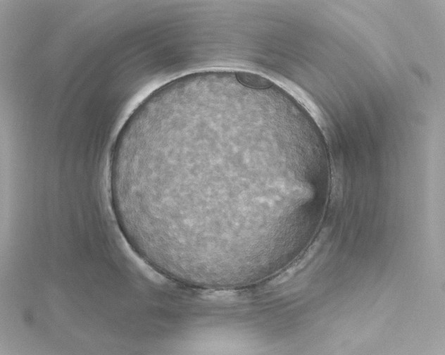 X0000115451006200911251303