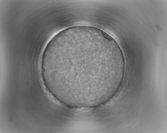 X0000115451008200911251303